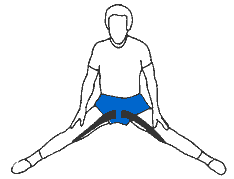 pubalgie v